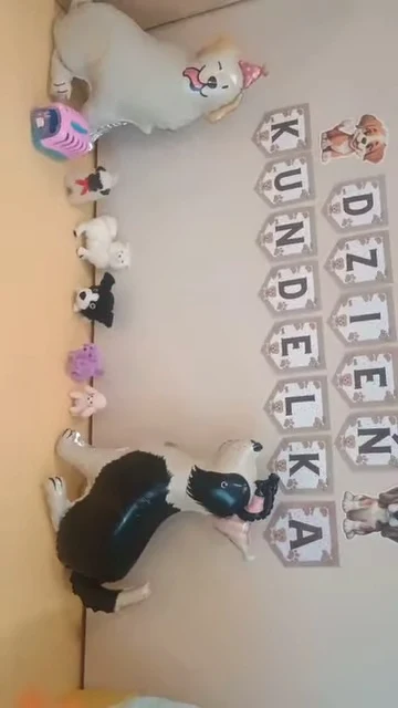 Dekoracja „Dzień Kundelka” i figurka psa w sali Niedźwiadków