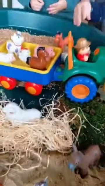 Traktor z figurkami zwierząt w skrzyni sensorycznej