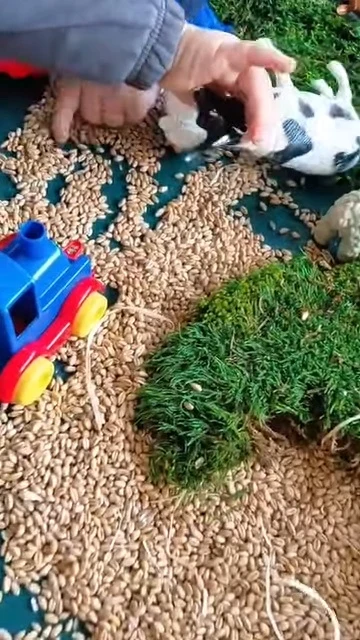 Dziecięce rączki bawią się figurką krowy na trawie